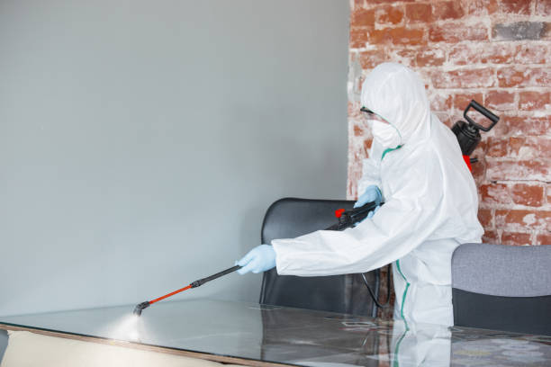 Best Mold Remediation for Healthcare Facilities  in Clarion, PA